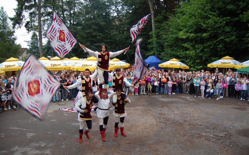 Leśny tor lub zjeżdżalnia wśród drzew